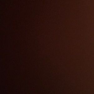 Meet your Posher, Ashlynn